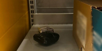В Энгельсе тюменца поймали при создании тайника с наркотиком в сетевом магазине - Четвертая Власть