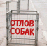 Отлов животных без владельцев - Город Брянка