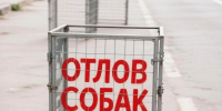 Отлов животных без владельцев - Город Брянка
