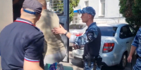 В Курске полицейские задержали подозреваемого в попытке изнасилования студентки - Городские Известия
