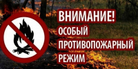 В лесах Брянской области введен особый противопожарный режим - Управление лесами