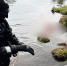 cherinfo.ru - Cher-Poisk.Ru