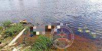 Фото: Аварийно-спасательная служба Ленобласти - Мой район