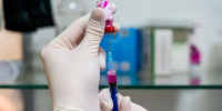 ​20 июня в деревне Зенькино пройдёт бесплатная вакцинация домашних животных от бешенства - Газета Истра сегодня