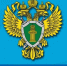 Порядок оказания платных образовательных услуг - Городская Дума г. Саров