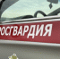 Ярославские росгвардейцы за прошедшую неделю совершили более 300 выездов по сигналам «Тревога» - Росгвардия