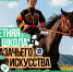 Продолжается регистрация на Летнюю школу казачьего искусства - Министерство культуры и туризма