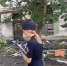 Глава СК взял на контроль дело о страшном пожаре в доме на XXII Партсъезда в Самаре - Самарская Газета