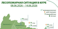 За неделю в Югре потушили 46 лесных пожаров - ИА СИА-Пресс