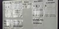По итогам первых ЕГЭ в Липецкой области уже 26 стобалльников - Gorod48.ru