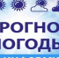 Метеорологический прогноз на 16.06.2026г. - Венгеровский район