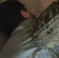 Screenshot_20260615_142416_MAX - Сетевое издание Арбуз