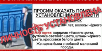 Бросилась в воду за собачкой: стали известны обстоятельства пропажи женщины на Амуре в Благовещенске - Amur.Life