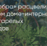Поделитья во ВКонтакте - Братская Студия Телевидения