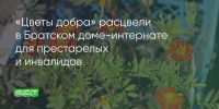 Поделитья во ВКонтакте - Братская Студия Телевидения