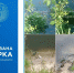 После жалоб о гибели рыбы в реке Десна, брянская прокуратура начала проверку - БрянскНОВОСТИ.RU