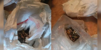 Почти тысячу боевых патронов изъяли у жителя Воронежской области - Обозреватель.Врн
