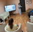 hkUbHXTs2-j04EyIwRRMZUk2Z6PnuOS-DumwTxfuDqbINd5gk-pwzEd-xhWJWIvPBOdoGdtRm1qhJC7INiYG7fO8.jpg - Центр соцобслуживания