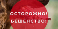 Осторожно! Бешенство!. - Красногвардейский район