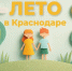 Чат-боты о летней занятости краснодарских детей заработали в мессенджерах - Кубанские Новости