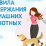 Требования к содержанию домашних животных определены статьёй 13 Федерального закона от 27 декабря 2018 года №498-ФЗ «Об ответственном обращении с животными».. - Свечинский муниципальный округ