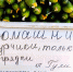 Астраханские базары пестрят плодоовощной продукцией - Ast-News.Ru