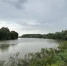 В Крымском районе из-за прорыва дамбы вода зашла в жилые дома - LiveKuban.Ru