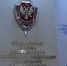 Пензенца приговорили к восьми годам тюрьмы за спонсирование киевского режима - 1Pnz.Ru