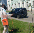 Фотофакт: в Ливнах началась война с опаснейшим карантинным вредителем - InfoOrel.Ru
