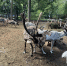 You are viewing the image with filename 1.jpg - Самарский ГАУ