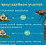 Правила использовании открытого огня для сжигания сухой травы. - Администрация Карачевского района