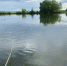 Вода унесла две жизни - Орская хроника