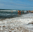 Морская вода на курортах Краснодарского края становится теплее - LiveKuban.Ru
