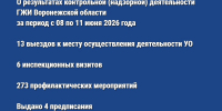 О результатах контрольной (надзорной) деятельности ГЖИ Воронежской области за период с 08 по 11 июня 2026 года - Государственная жилищная инспекция