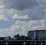 Ярославцам не рекомендуют купаться в Волге и Которосли - Городской телеканал