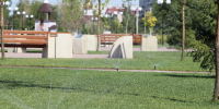 В Волжском ведется полив зеленых насаждений - Администрация г. Волжский