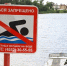 В Ярославле не рекомендуют купаться на городских пляжах из-за качества воды - Городские новости