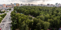 В Новосибирске проведут форум гостеприимства «Дикоросы-2026» - Сиб.фм
