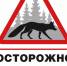 О мерах профилактики бешенства. - Старооскольский городской округ