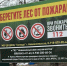 Минприроды усиливает меры по защите лесов - Министерство природных ресурсов и охраны окружающей среды