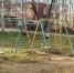 В Прикамье прокуратура запретила открытие лагеря в деревне Малый Буртым - V-Kurse.Ru