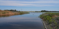 Астраханская область получила рекордное количество воды в этом году - Астрахань 24