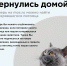 ПОЛЕЗНАЯ ИНФОРМАЦИЯ ДЛЯ ВЛАДЕЛЬЦЕВ ДОМАШНИХ ЖИВОТНЫХ - Район Текстильщики