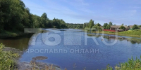 Ярославские власти прокомментировали ситуацию с «нефтяным дождем» в регионе | Источник: читательница 76.RU Оксана Ниветта - 76.Ru