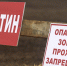 Карантин по бешенству введен в подмосковных Мытищах и Ступино - M24.Ru