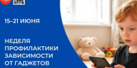 Жителям Череповецкого округа напоминают о важности цифрового баланса. - Череповецкий район