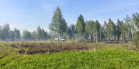 Пожар в Тарском районе потушен - Главное управление лесного хозяйства