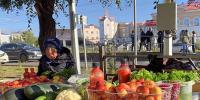 В Бурятии подешевели овощи, но подорожало мясо - ИА Байкал-Daily