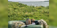 Смертельные ловушки будут вытаскивать специалисты из водоемов Амурской области - Amur.Life
