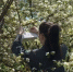 image - GazetaRB.Ru